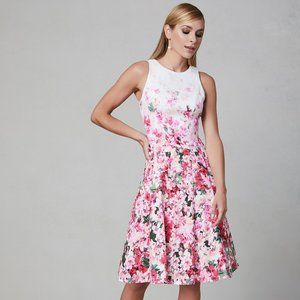 Maggy London - Cotton Fit & Flare Dress